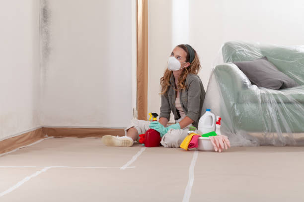 Reliable Mold Remediation contractor in Miller Place, NY by WQB Mold Removal
